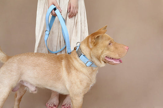 KFX-8511165 Sky Blue Velvet Dog Collar - Adjustable Polyester Pet Chain for Sizes XS to XK