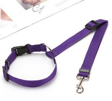 KFX-8514749 Adjustable Multicolor Pet Seat Belt for Dogs and Cats in Various Colors