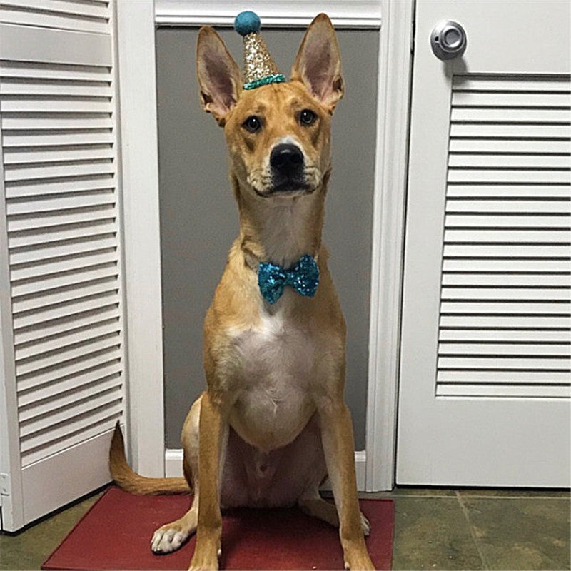 KFX-8517181 Solid Color Sequin Bow for Small Dogs - Blue, Pink, Red, Rose Red, White