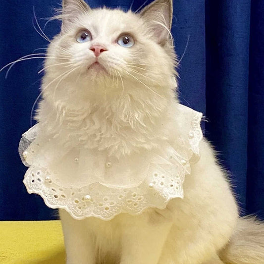 KFX-8517309 Lace Edge Bib Accessories for Cats and Dogs - Adjustable Saliva Towel with Loose Pearl Design