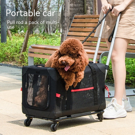 KFX-8524349 Pet Trolley Bag for Cats and Dogs - Portable Carrier, Up to 30 lbs, Folding Design, Available in Multiple Colors