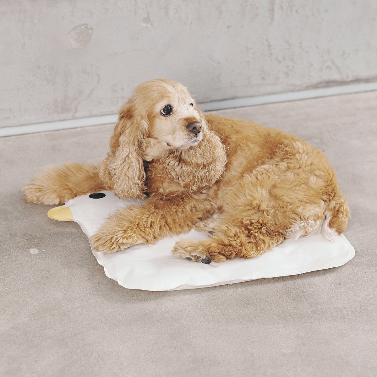 KFX-8533693 Cooling Pet Mat for Dogs and Cats - Washable Non-Stick Hair Sleeping Pad, Durable Summer Bed for Home and Travel