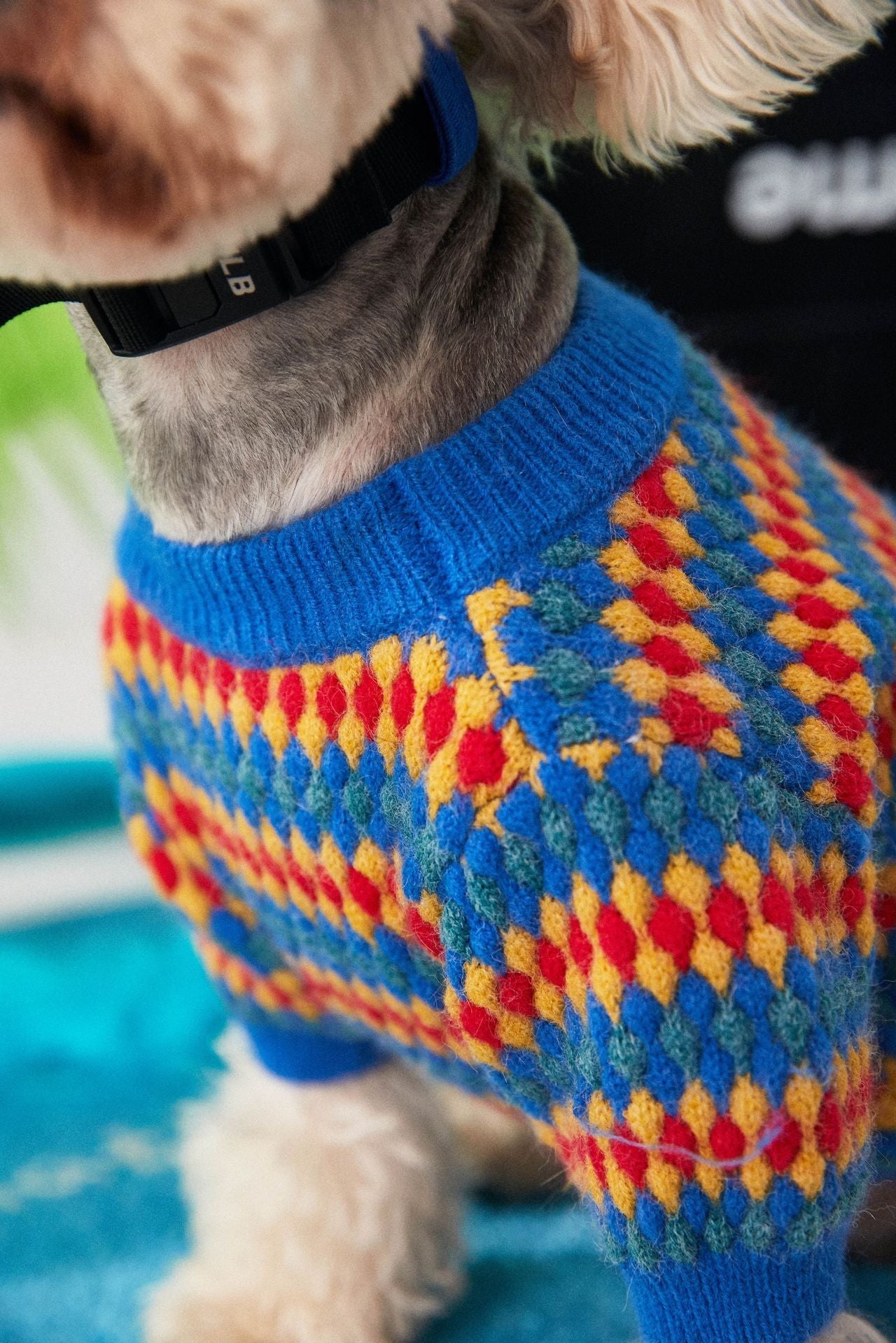 KFX-8534205 Cozy Blue Round Neck Wool Dog Sweater for Autumn and Winter