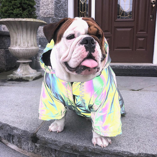 KFX-8534589 Reflective Dog Windbreaker Hoodie, Waterproof Pet Jacket, Sizes S to 4XL