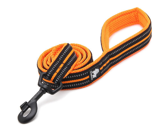 KFX-8541757 Nylon Dog Leash with Soft Mesh Lining and Reflective Accents, 110cm Length