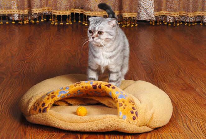 KFX-8542013 Cozy Cat Sleeping Bag with Paw Print Design – Small and Large Sizes Available