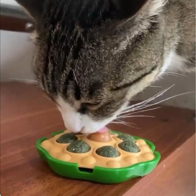 KFX-8542781 Interactive Catnip Balls for Wall Attachment | Edible Catnip Chew Toys for Indoor Play
