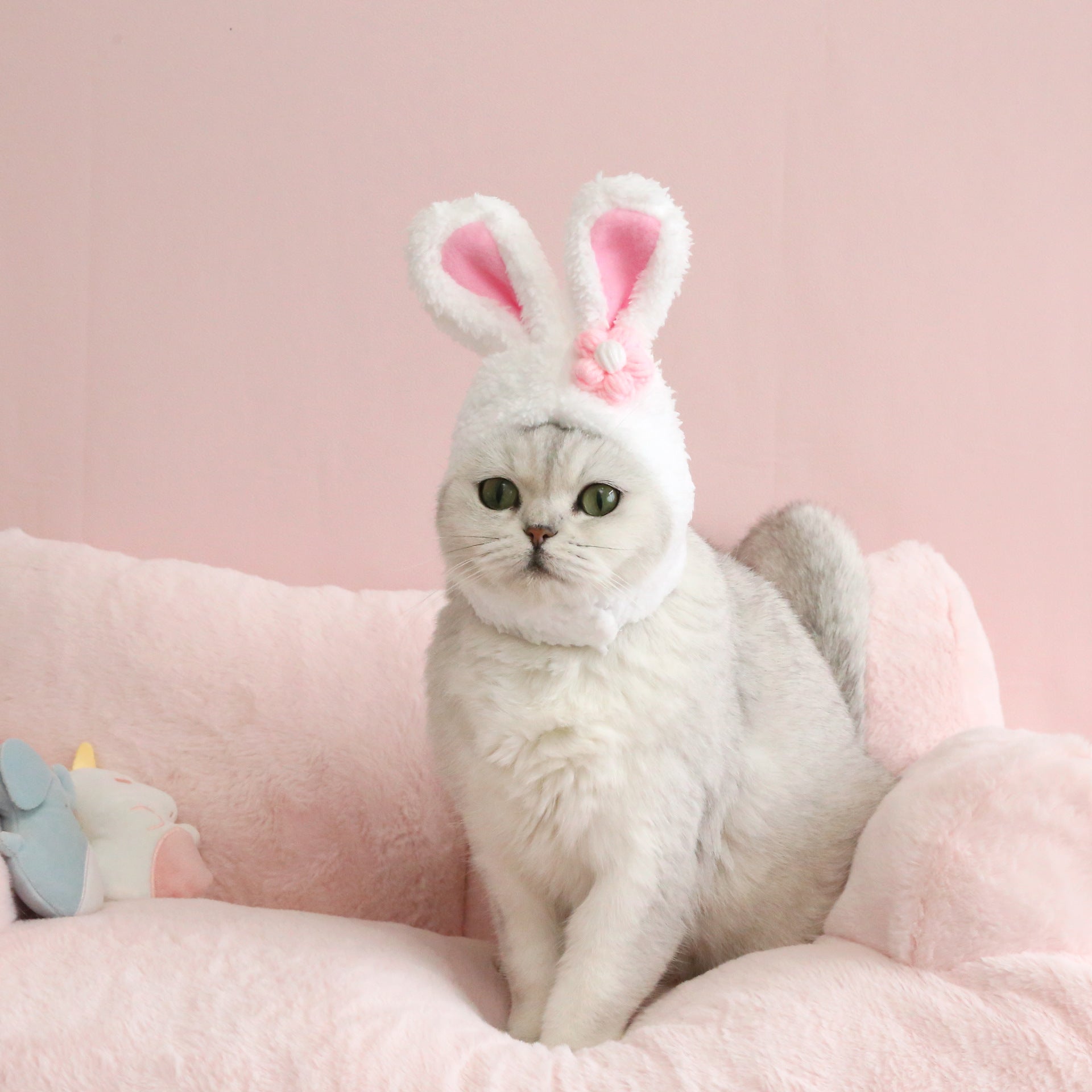 KFX-8552509 Plush Cartoon Hat with Rabbit and Carrot Ears for Cats and Dogs, Soft Polar Fleece Pet Accessory