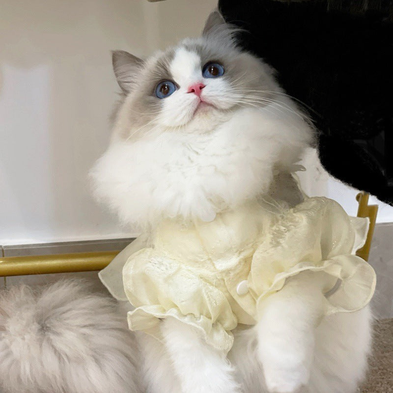 KFX-8561597 Thin Anti-Hair Loss Cotton Wool Pet Skirt for Kittens