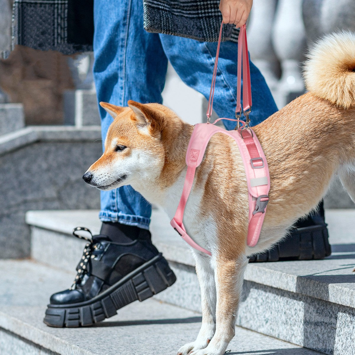KFX-8568253 Assisted Split Chest Strap for Pets - Suitable for Dogs, Cats, and Large Animals