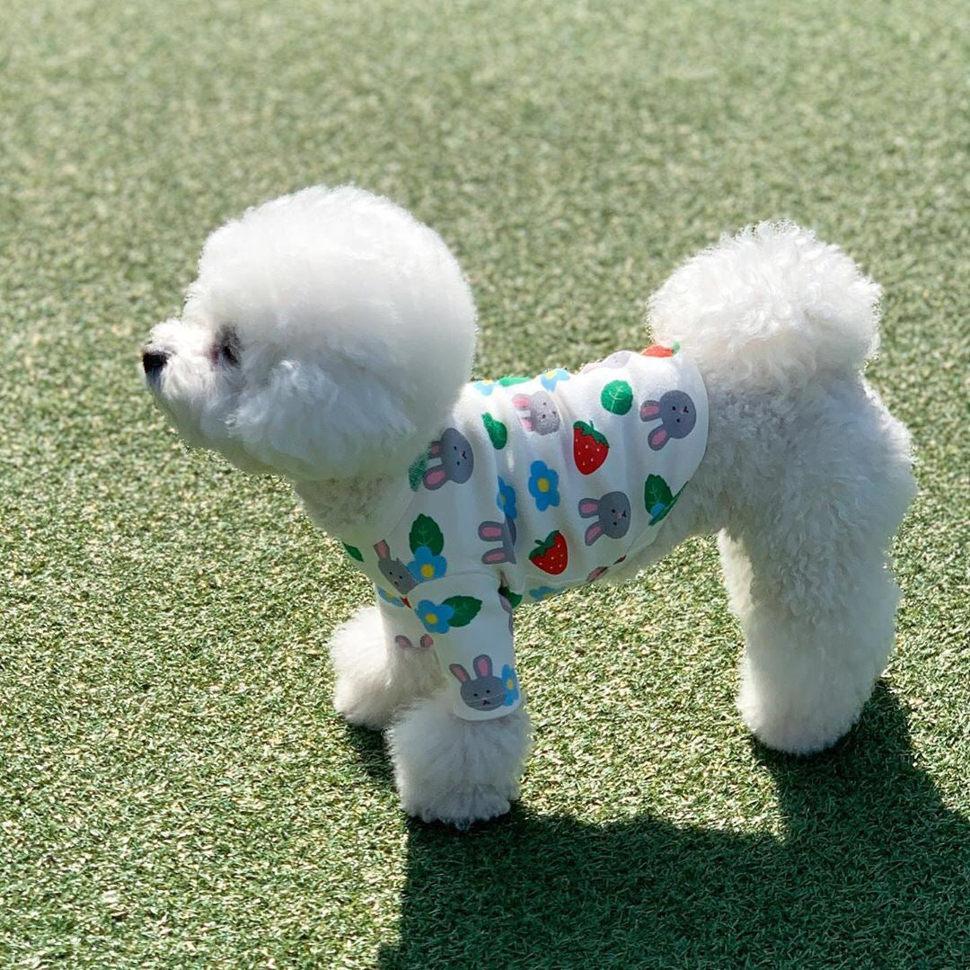 KFX-8569533 Oatmeal Strawberry Bunny Sleeveless Vest for Dogs in Multiple Sizes