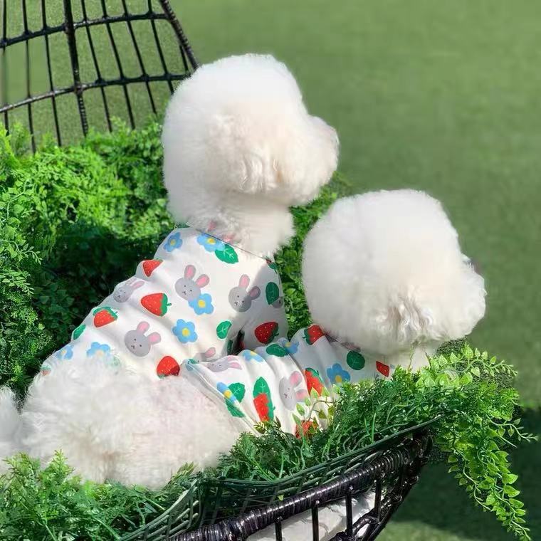 KFX-8569533 Oatmeal Strawberry Bunny Sleeveless Vest for Dogs in Multiple Sizes