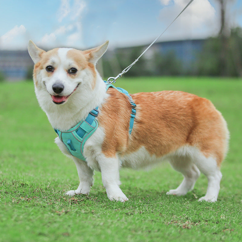 KFX-8574013 Large Anti-Slip Pet Chest Harness with Traction Rope in Various Colors
