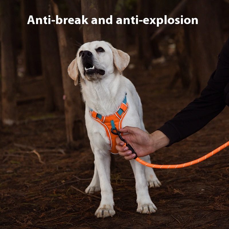 KFX-8574013 Large Anti-Slip Pet Chest Harness with Traction Rope in Various Colors