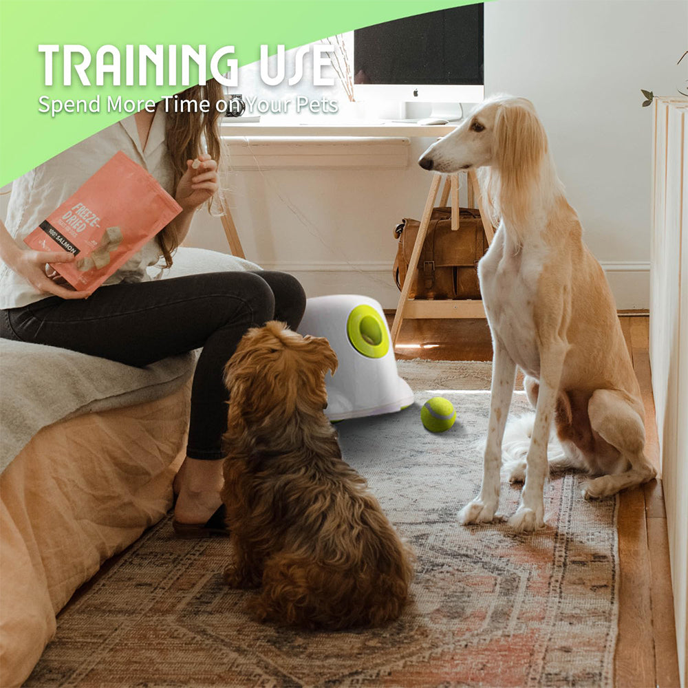 KFX-8576189 Automatic Electric Mini Tennis Throwing Machine for Pets - Lightweight and USB-Powered