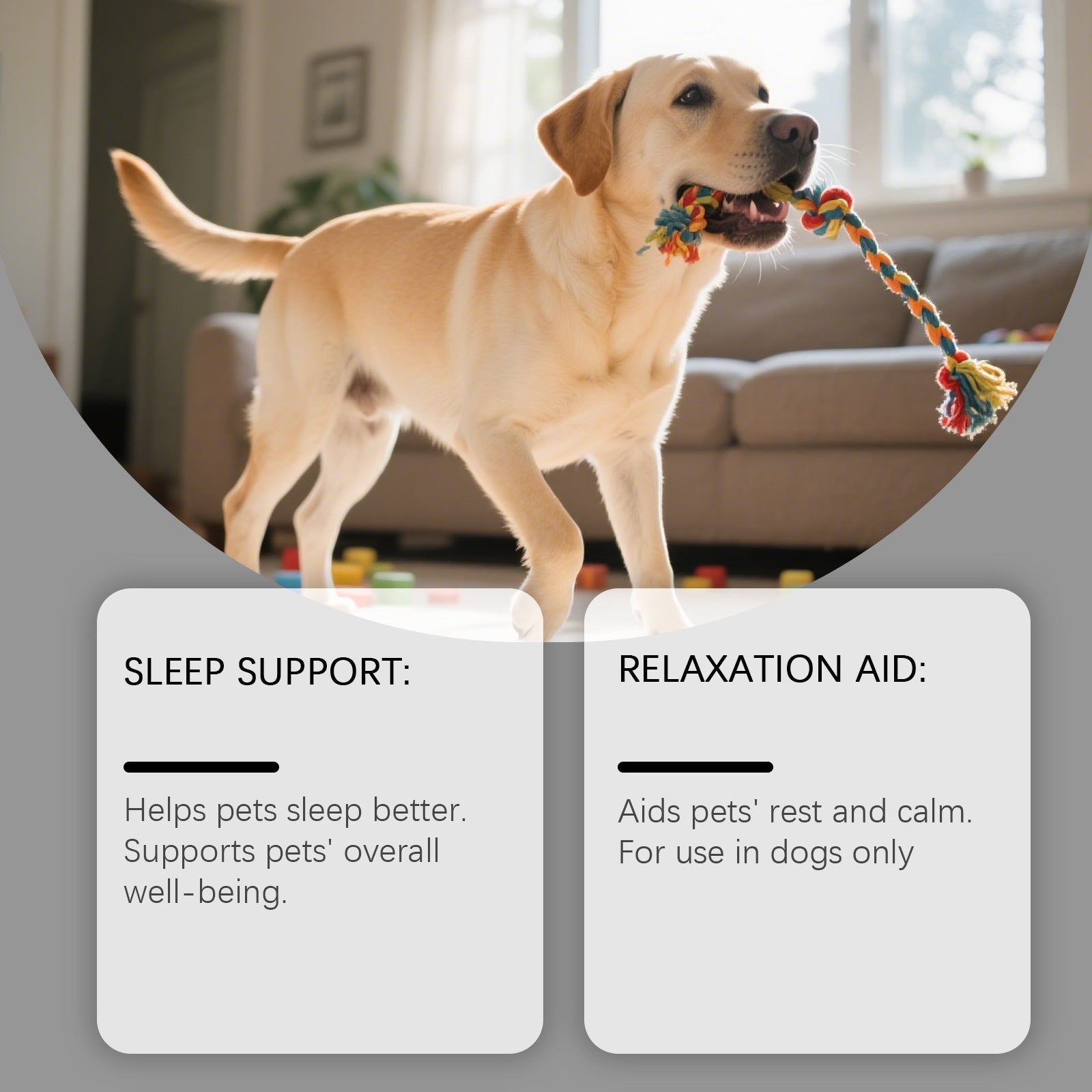 KFX-8580541 Dog Advanced Melatonin Drops for Calm and Relaxation - 60ml Natural Sleep Support