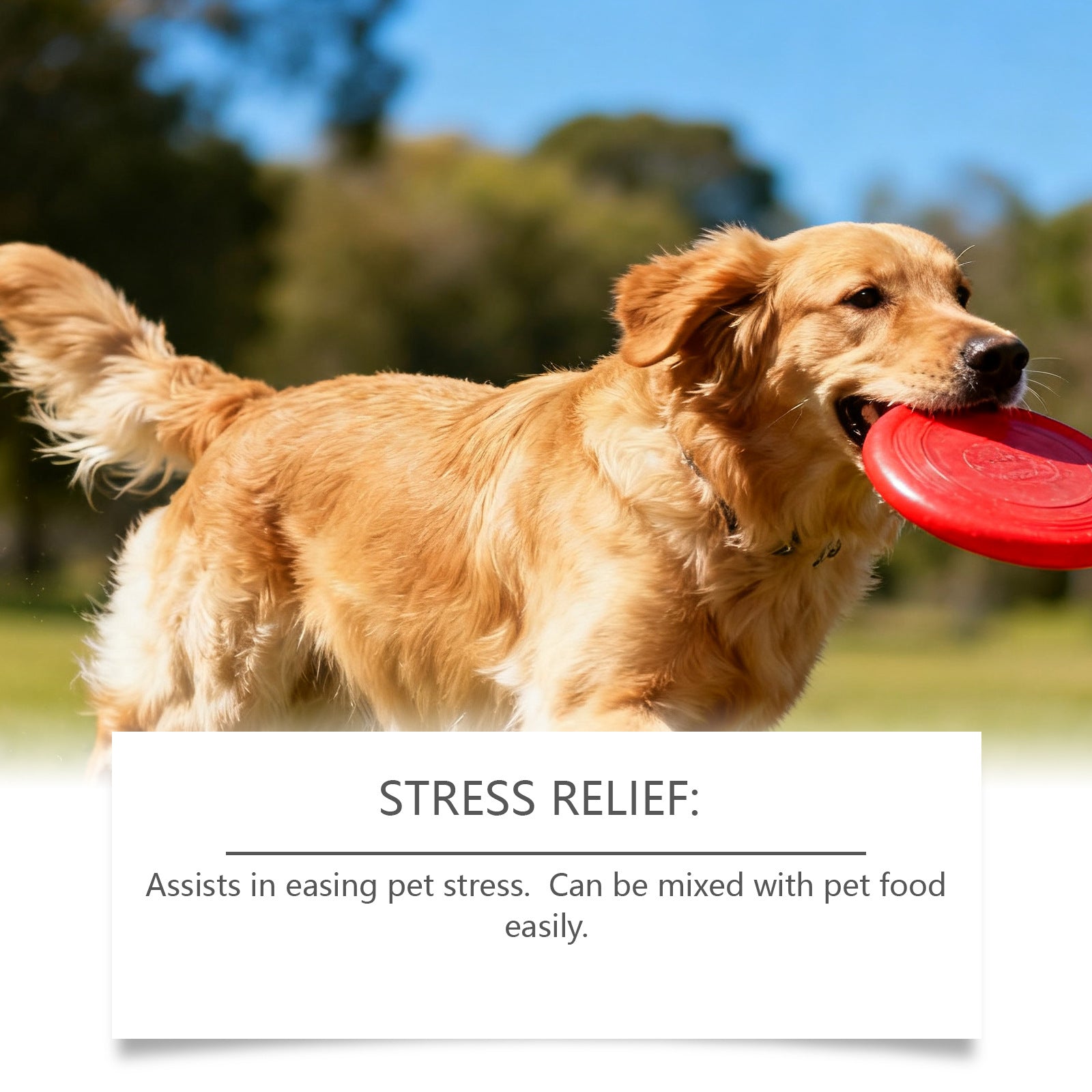 KFX-8580541 Dog Advanced Melatonin Drops for Calm and Relaxation - 60ml Natural Sleep Support