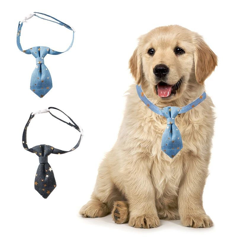KFX-8582717 Fancy Adjustable Dog Collar for Small and Medium Dogs - Long Tie Design with Golden Star Decoration