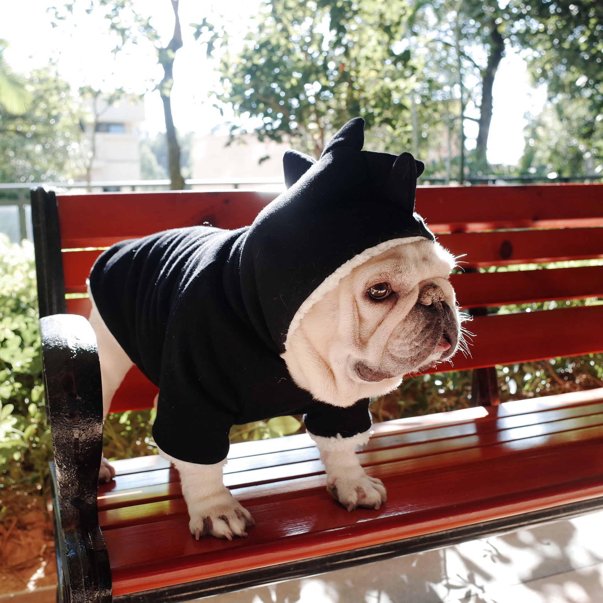 KFX-8585533 Cozy Black Lamb Fleece Dinosaur Hooded Sweater for Dogs