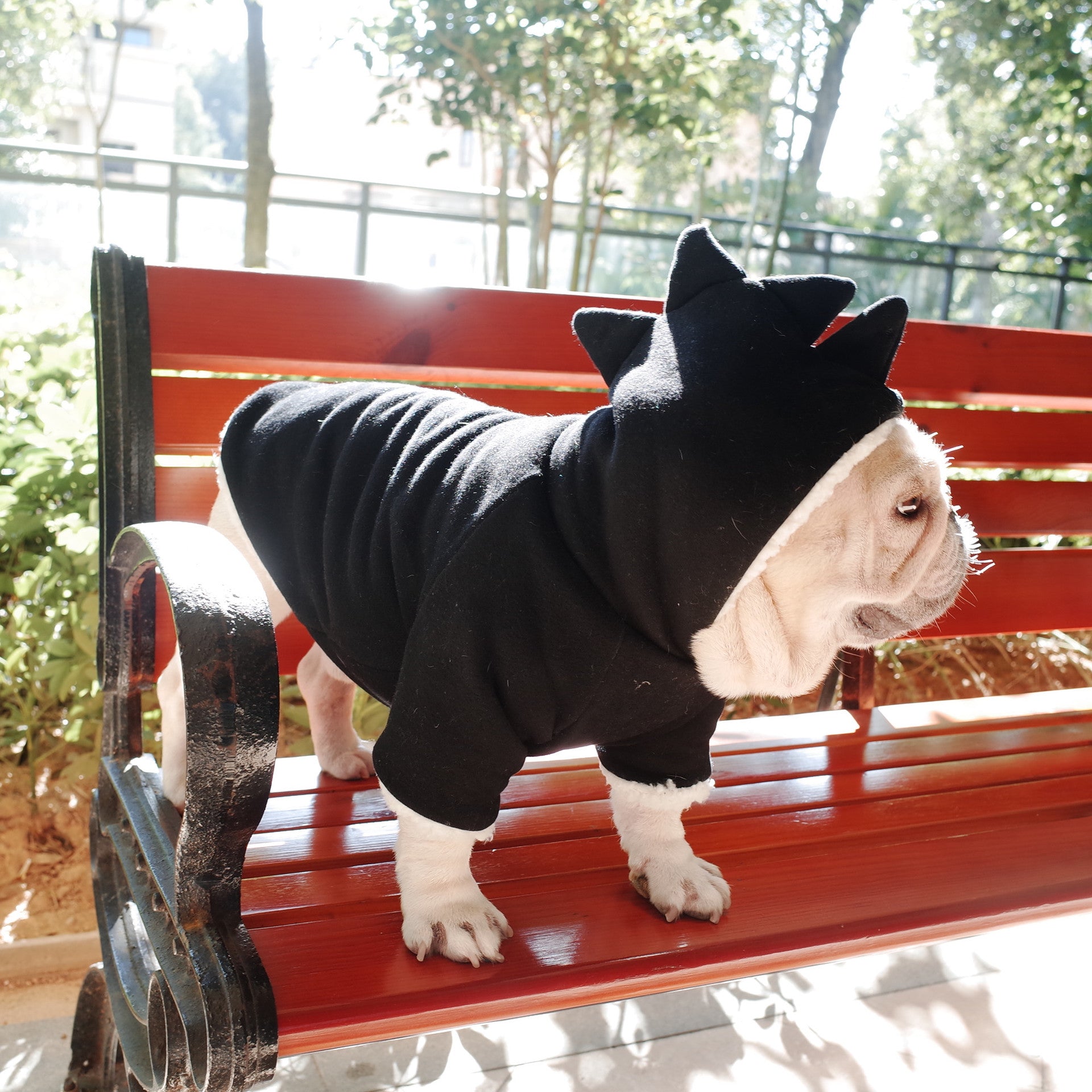 KFX-8585533 Cozy Black Lamb Fleece Dinosaur Hooded Sweater for Dogs