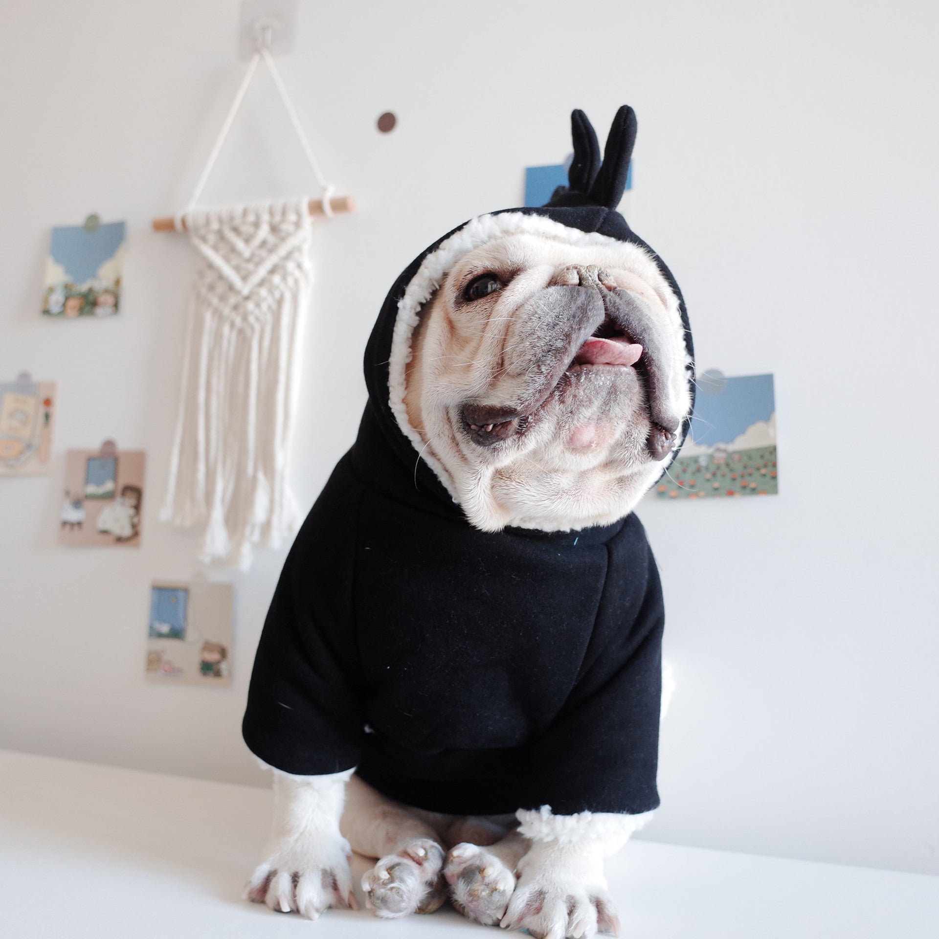 KFX-8585533 Cozy Black Lamb Fleece Dinosaur Hooded Sweater for Dogs