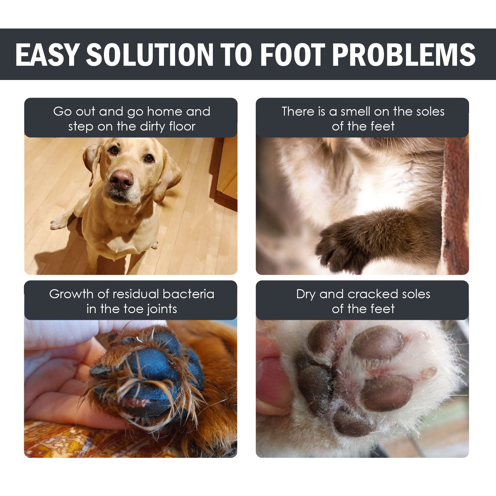 KFX-8588093 Dog Paw Care Solution - 100ml Foot Cleaning Formula for Dogs