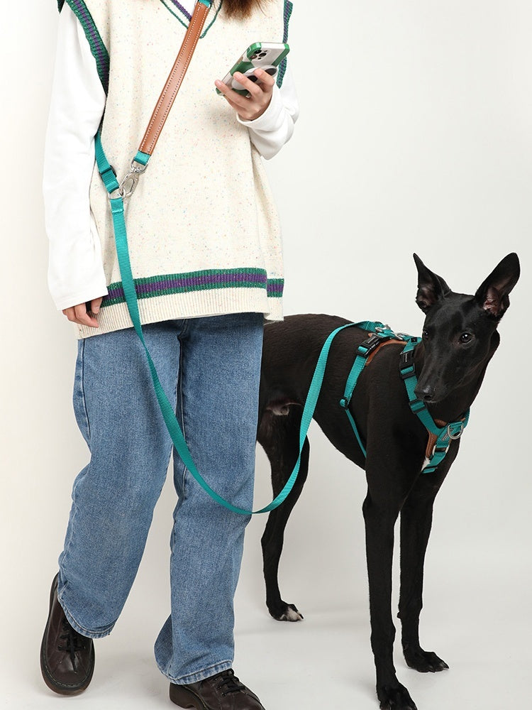 KFX-8590013 Durable Nylon Pet Traction Rope for Large Dogs - Available in Cardamom Red, Linen Green, Yunshan Blue (Length: 108-220cm, Width: 2.0cm)