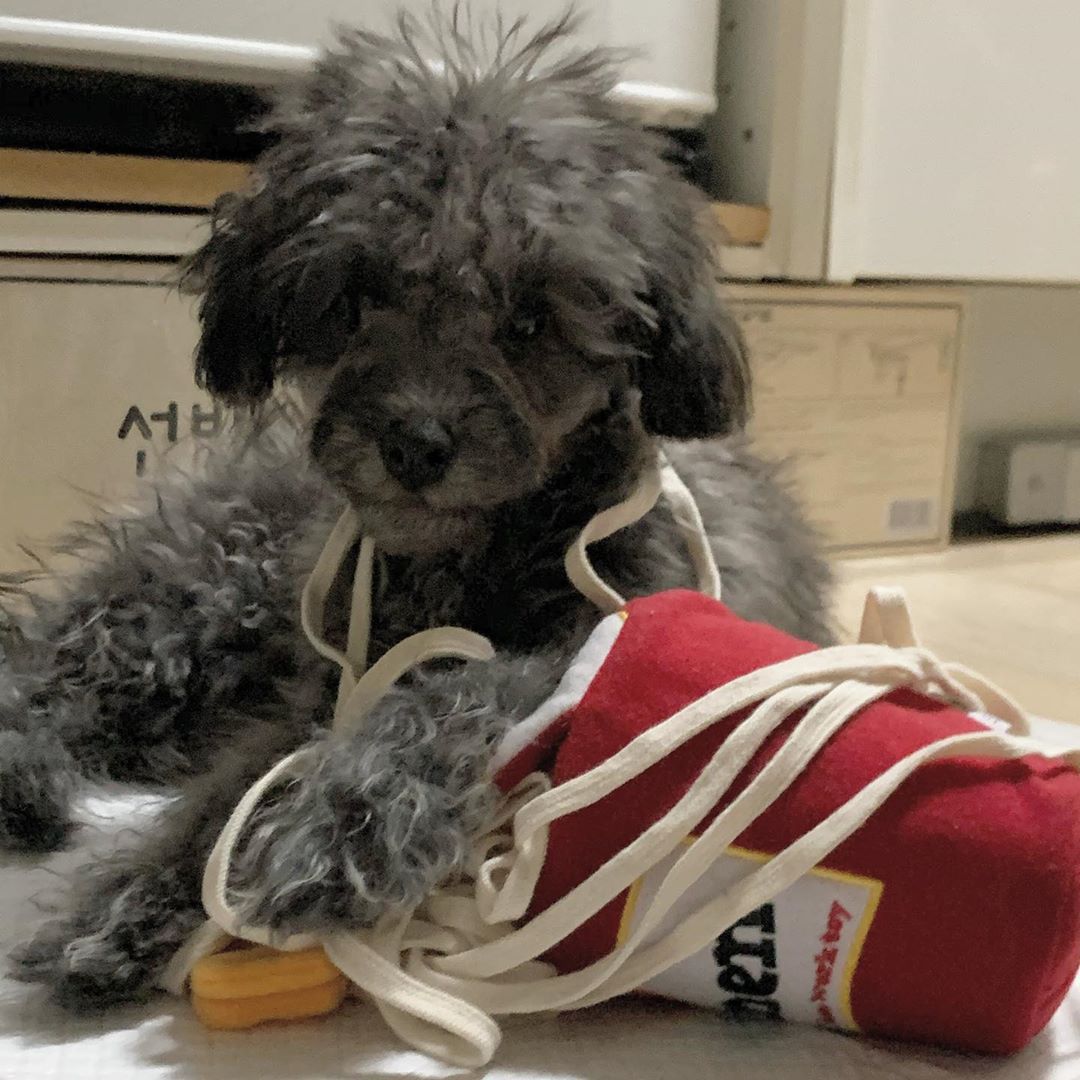KFX-8601405 Interactive Plush Pet Sniffing Toy for Dogs - Cute Food Leaking Design, 13cm