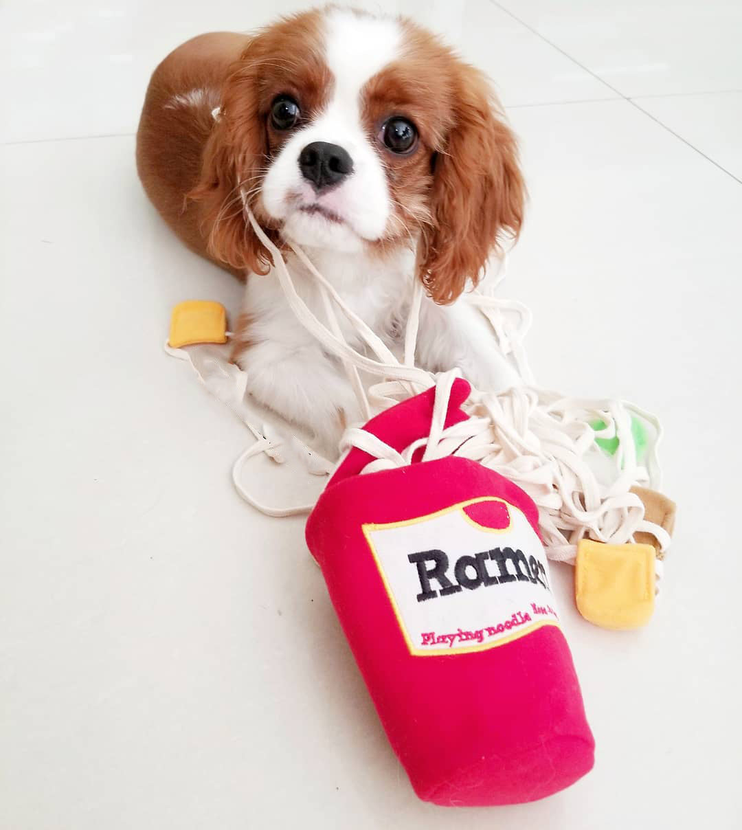 KFX-8601405 Interactive Plush Pet Sniffing Toy for Dogs - Cute Food Leaking Design, 13cm
