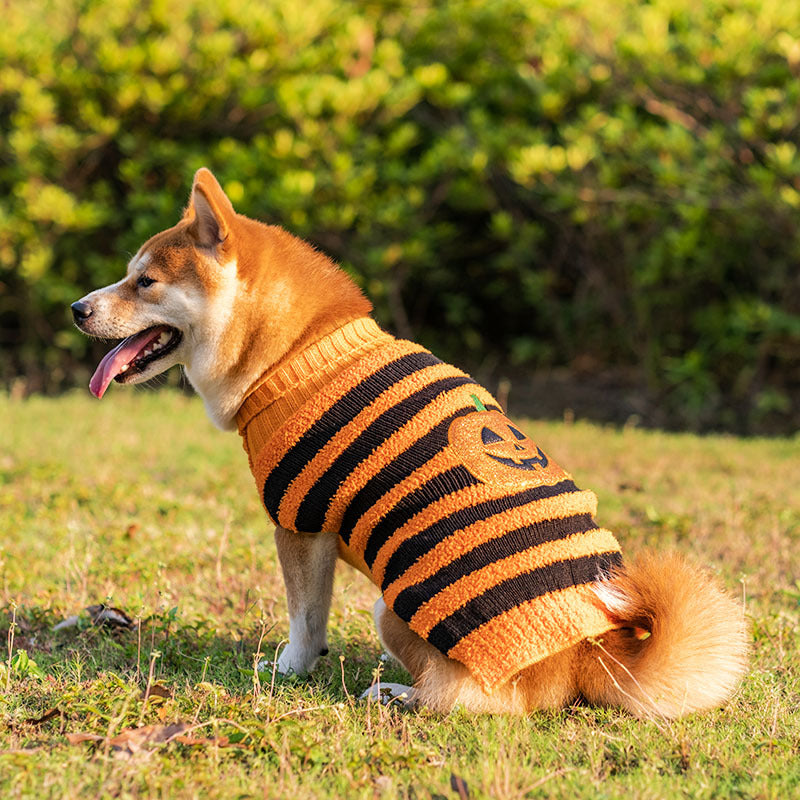 KFX-8605501 Cozy Halloween Dog Sweater with Pumpkin Design - Warm Pet Costume for Small Dogs