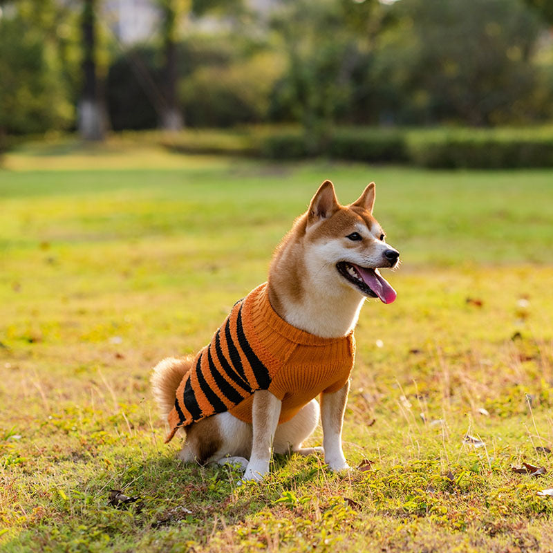 KFX-8605501 Cozy Halloween Dog Sweater with Pumpkin Design - Warm Pet Costume for Small Dogs