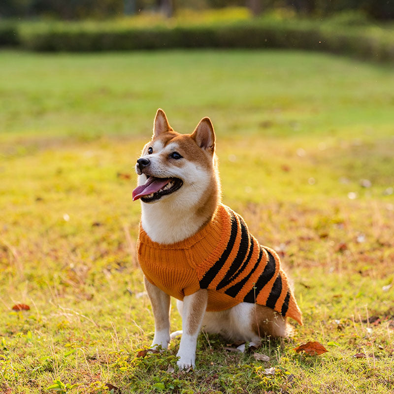 KFX-8605501 Cozy Halloween Dog Sweater with Pumpkin Design - Warm Pet Costume for Small Dogs
