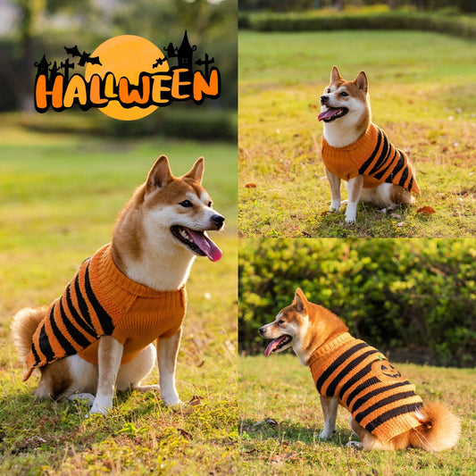 KFX-8605501 Cozy Halloween Dog Sweater with Pumpkin Design - Warm Pet Costume for Small Dogs