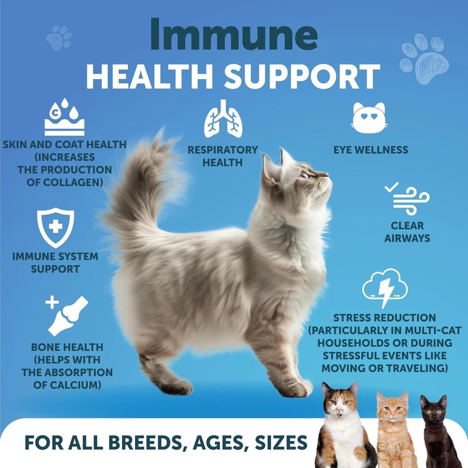 KFX-8613309 L-Lysine Powder Supplement for Cats - Immune and Eye Health Support, 900mg Serving for Respiratory Wellness