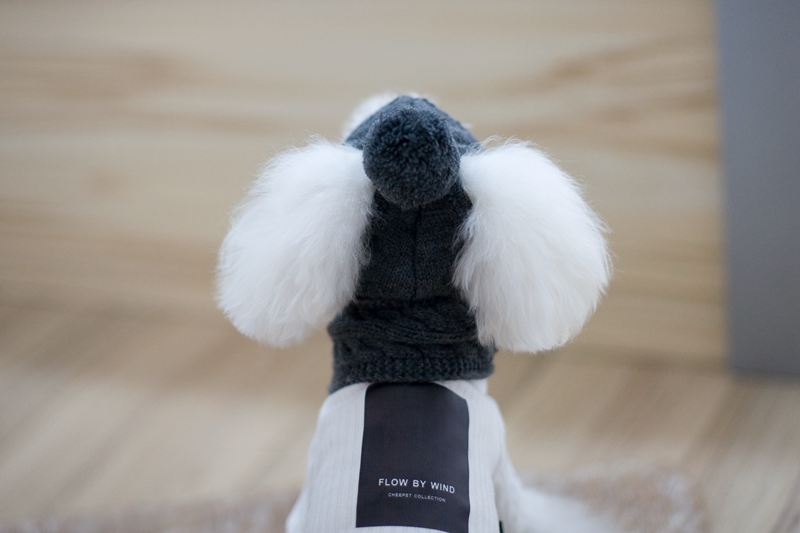KFX-8618045 Cozy Dog Hat and Scarf Set for Autumn and Winter - Suitable for Small to Medium Breeds