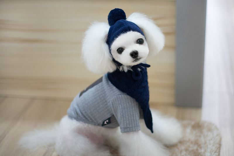 KFX-8618045 Cozy Dog Hat and Scarf Set for Autumn and Winter - Suitable for Small to Medium Breeds
