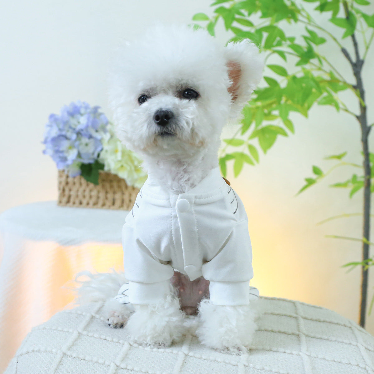 KFX-8618813 Casual Polyester Single Layer Dog Overalls - Multiple Sizes Available