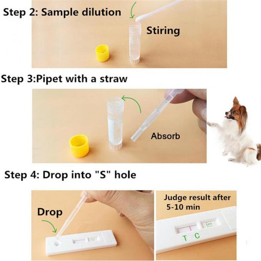 KFX-8620861 Canine Distemper and Parvovirus Test Kit for Accurate Pet Health Assessment