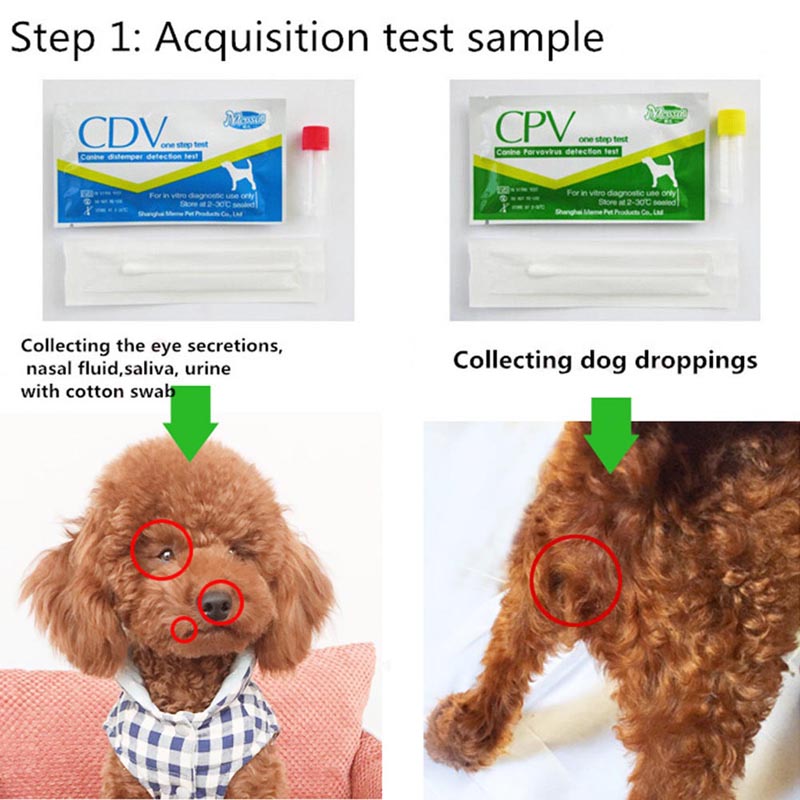 KFX-8620861 Canine Distemper and Parvovirus Test Kit for Accurate Pet Health Assessment