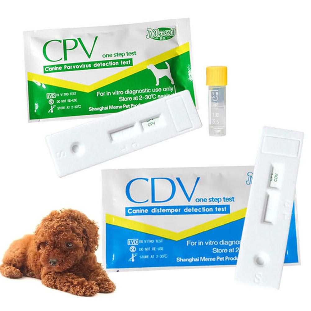 KFX-8620861 Canine Distemper and Parvovirus Test Kit for Accurate Pet Health Assessment