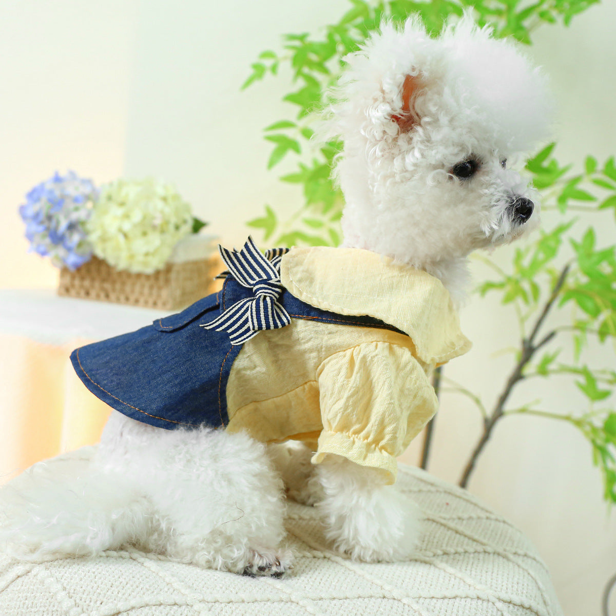 KFX-8629309 Blue and White Bow Suspender Skirt for Pets - Casual Polyester Dress Available in Multiple Sizes