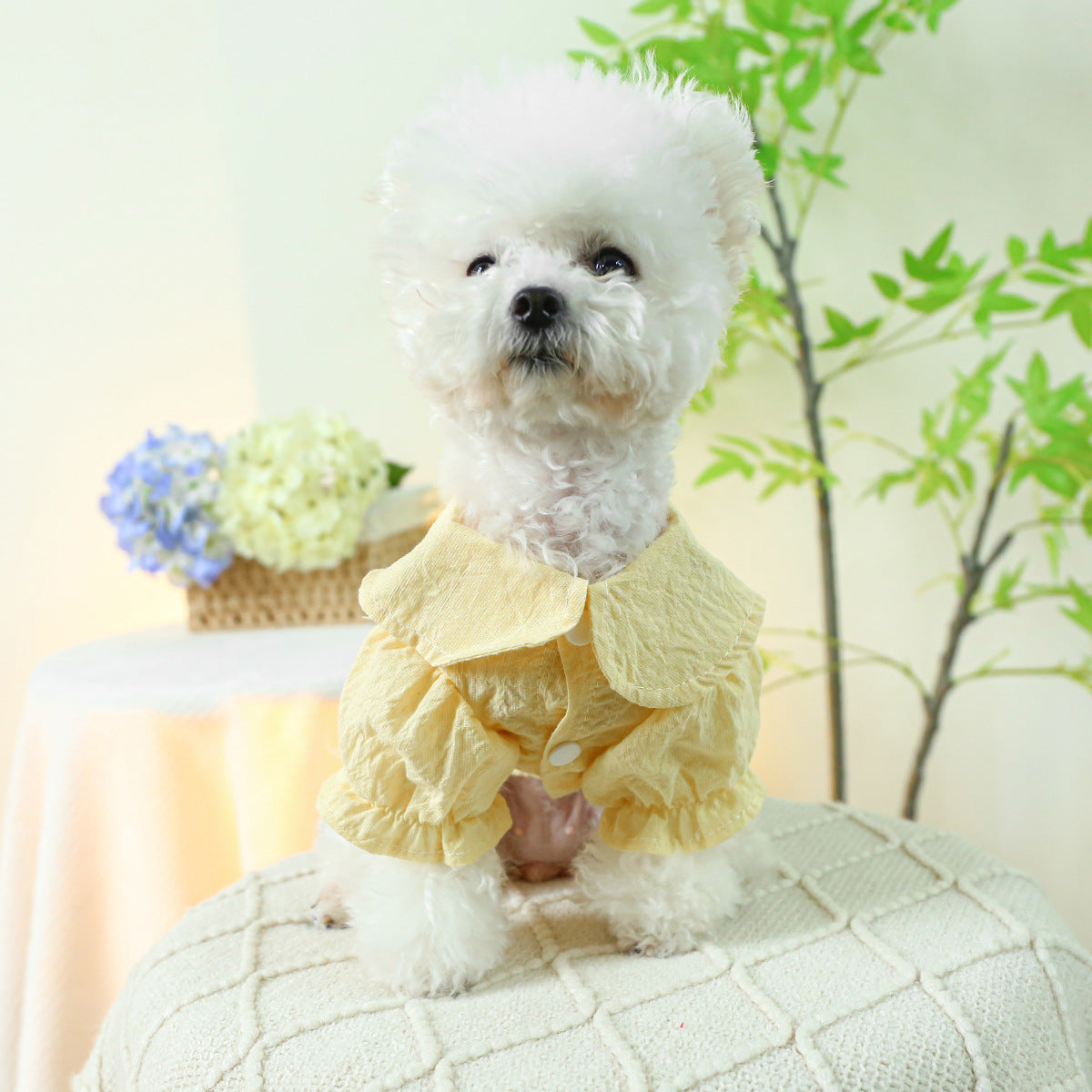 KFX-8629309 Blue and White Bow Suspender Skirt for Pets - Casual Polyester Dress Available in Multiple Sizes