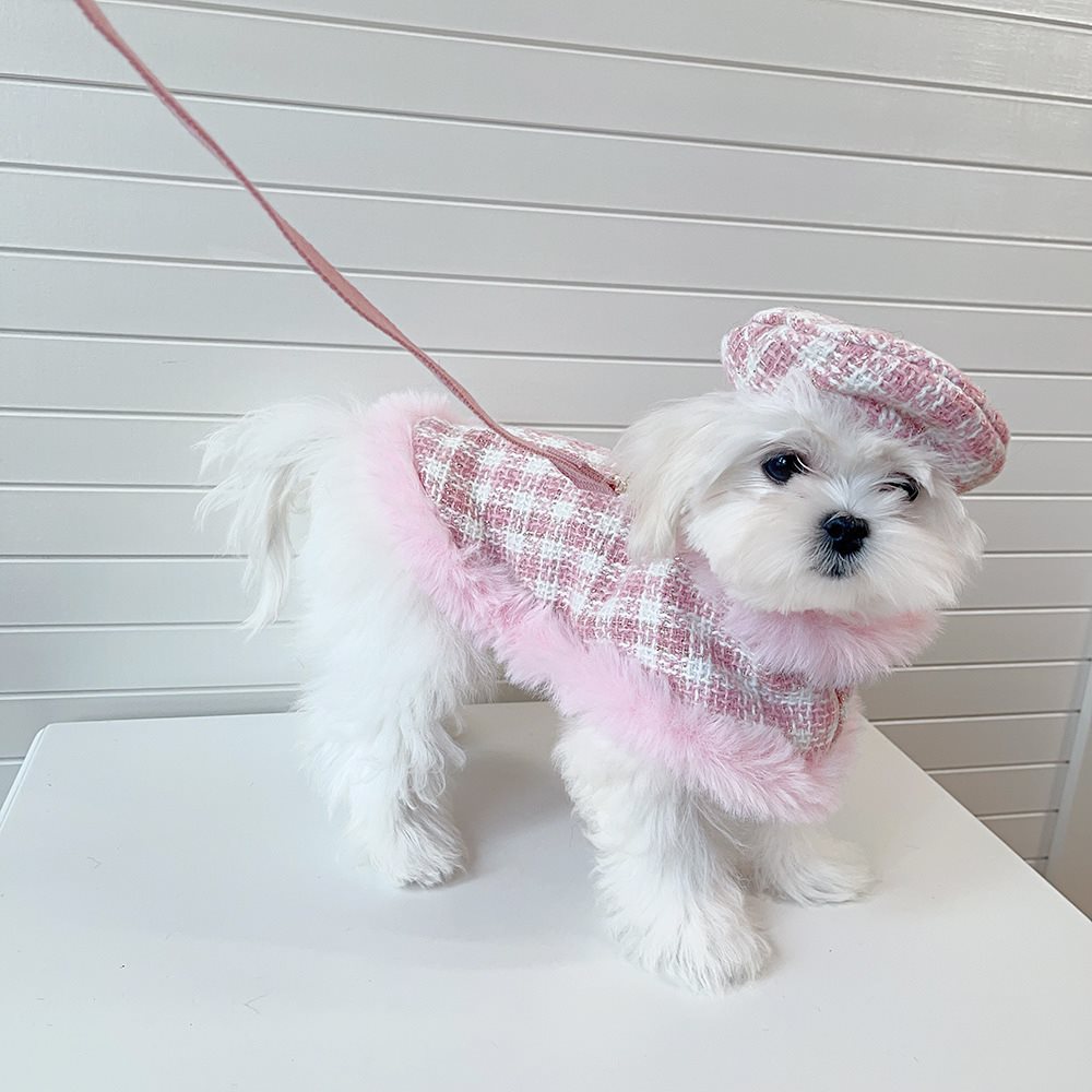 KFX-8635069 Pink Cloak Style Pet Cape with Beret and Drawstring for Cats
