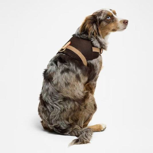 KFX-8639549 Coffee Floral Leather Pet Harness - Size S & M, Adjustable for All Seasons