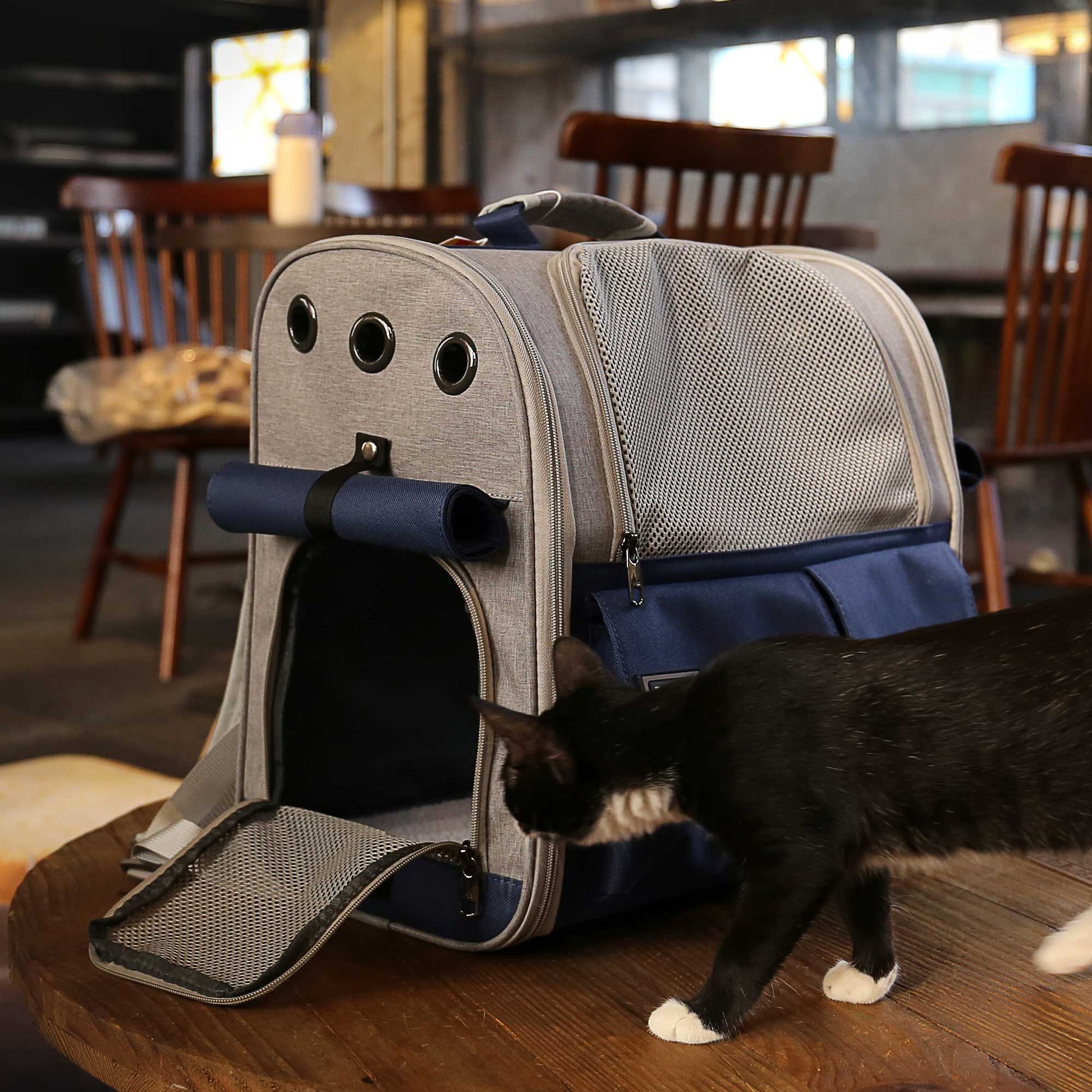 KFX-8647869 Stylish Foldable Soft Pet Carrier with Adjustable Ventilation for Dogs and Cats