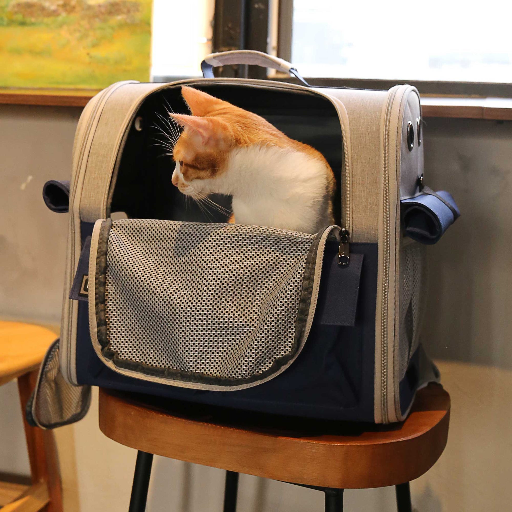 KFX-8647869 Stylish Foldable Soft Pet Carrier with Adjustable Ventilation for Dogs and Cats