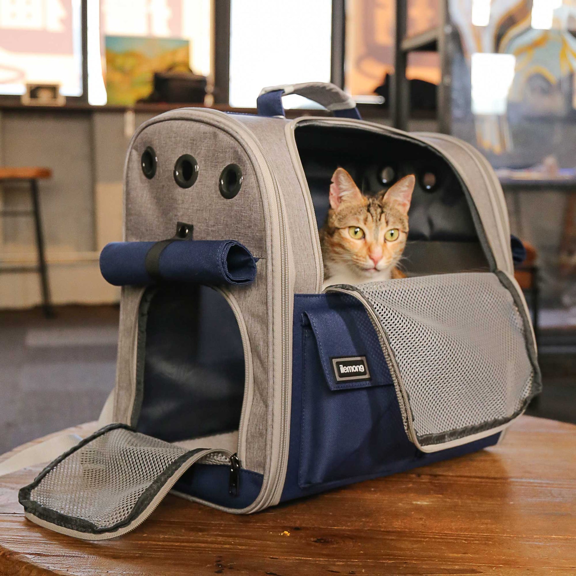 KFX-8647869 Stylish Foldable Soft Pet Carrier with Adjustable Ventilation for Dogs and Cats