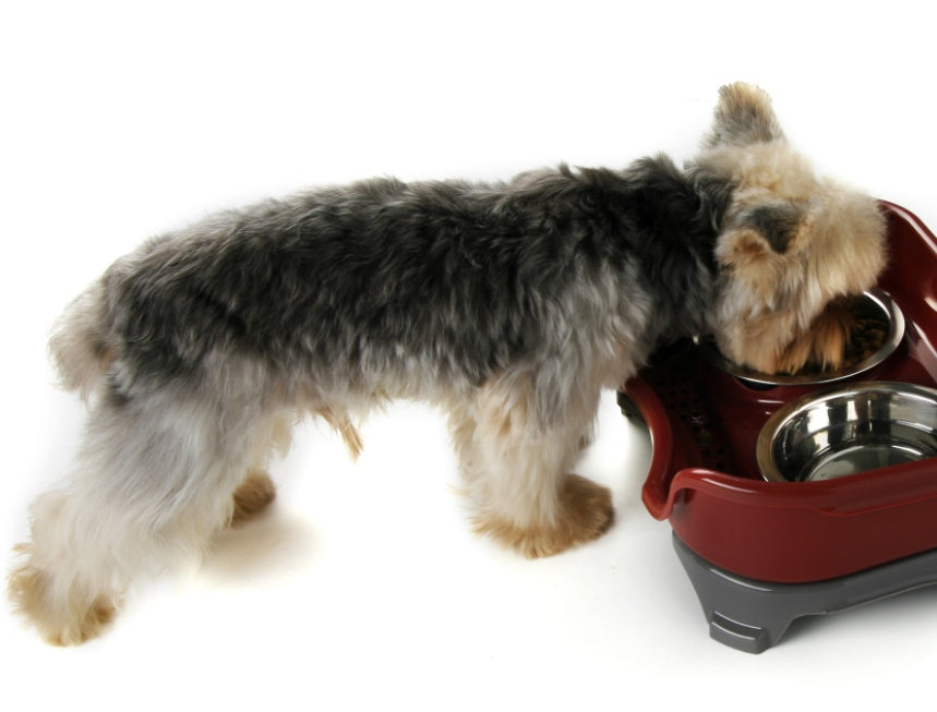 KFX-8657725 Double Basin Splash-Proof Pet Bowl Set - Stainless Steel Cat and Dog Food Dish