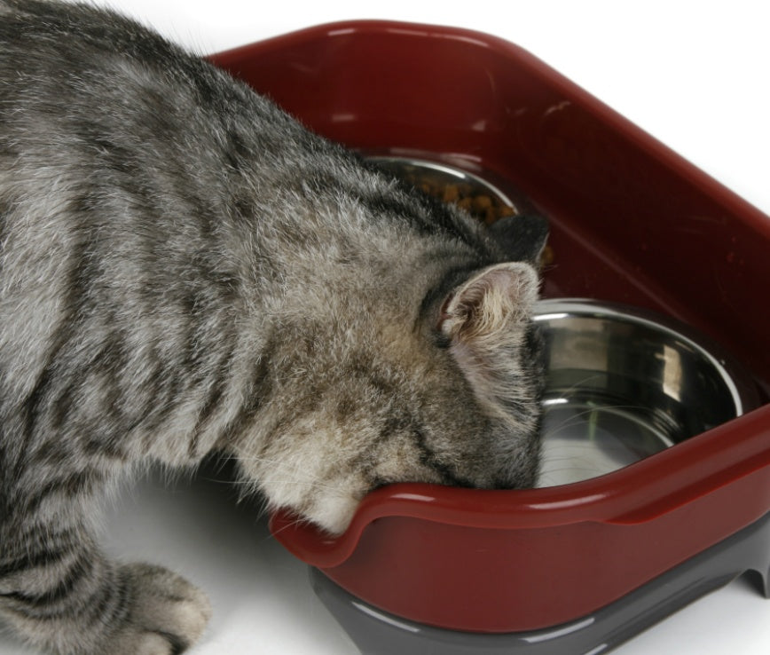 KFX-8657725 Double Basin Splash-Proof Pet Bowl Set - Stainless Steel Cat and Dog Food Dish