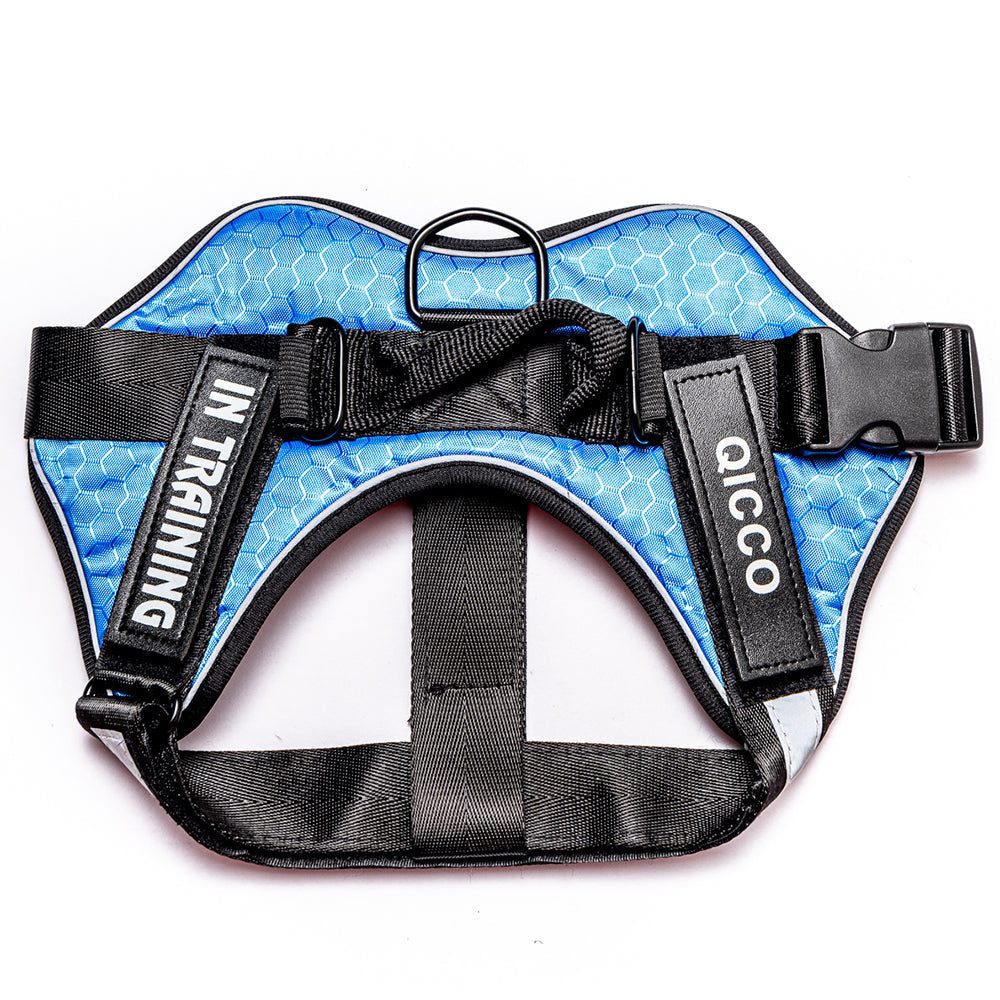 KFX-8663357 Durable and Comfortable Pet Leash Chest Harness with Adjustable Fit